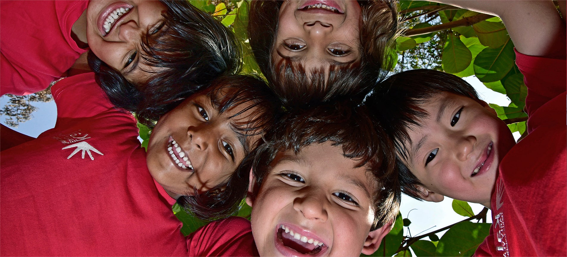 Nurturing the Love of Learning