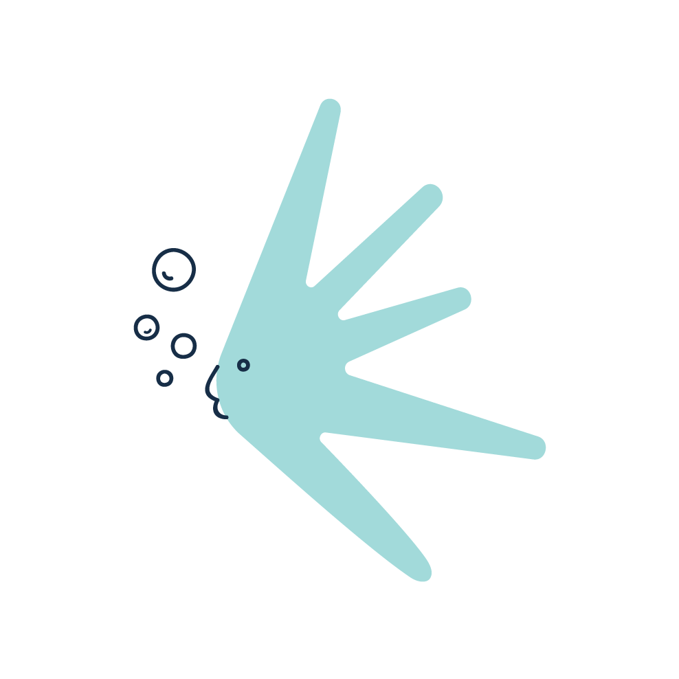 K1